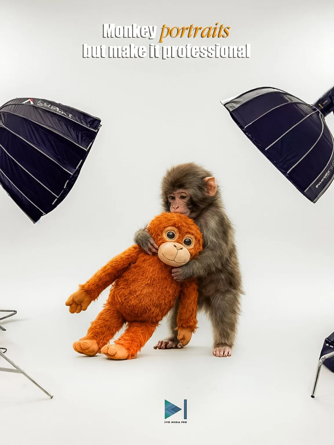 A soft toy monkey lit and photographed as a formal portrait between two lights, with title lettering above