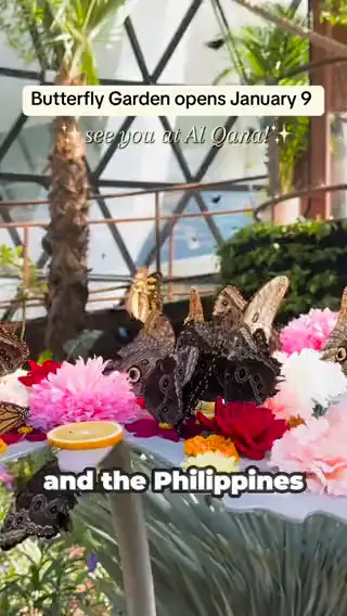Creator garden opening walkthrough, video still